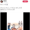 아이러브 PC클럽 네이버블로그