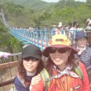 출렁다리(4) 이미지