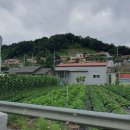 가중1리 이미지