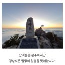 제 181 차 2024 .11월 정기산행 이미지