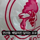 달리는꼬꼬 네이버블로그