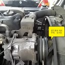 신호카포스 이미지