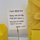 카페나랑노랑 이미지