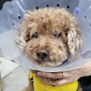 도당중학교 이미지