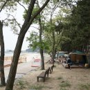 솔밭 해변이 초대하는 여름 낭만 캠핑, 용두해수욕장 이미지