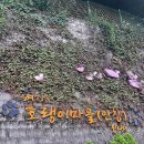 오색빛깔행복체험공방 네이버블로그