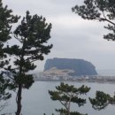 나운세탁소 이미지