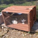 캣월드 | 고양이 카페 제주 캣월드 행복했던 방문 후기