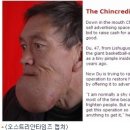 호진셀 이미지