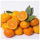 온새미영농조합법인 이미지