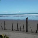 LAS(라스) 이미지