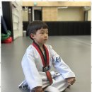 올바른 성장 태권도 네이버블로그