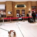 스타 생활용품점 | 미세먼지 피난처! 달리와 함께한 수원 스타필드 나들이 (ft. 별마당 도서관, 런던베이글뮤지엄) 🐾