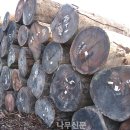 우림유통