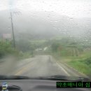 안동사대부찜닭 이미지