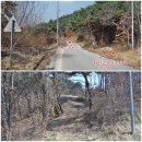 농암로(예안면) | 안동 옥녀봉(319.0m)-등산(330.0m),운남산(385.9m),옥수봉(337.9m),가흘리산(183.3m)