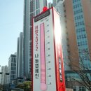 법인들사랑 이미지