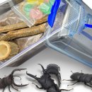 아이푸드팜(주) 네이버블로그