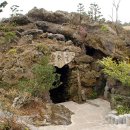 방림원 식물원 이미지