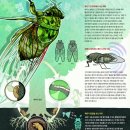 맴맴 - 광산구 | 맴맴