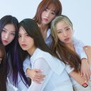 스퀘어 이미지