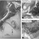 허리케인 이미지