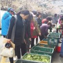 농산물직거래장터 이미지