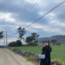 하장정육점 | 제주여행 🙃 (그랜드하얏트제주, 우진해장국 포장, 숙성도, 커뮤니테이블, 미영이네, 한라산, 포도원흑...
