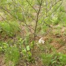 김종만농장 이미지