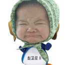 미운오리 이미지