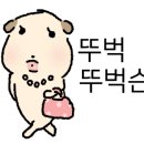 소피아헤어 이미지