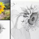 데생 초급 이미지