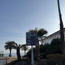 (유)제주파크투어 | 제주 요트투어 아이동반 퍼시픽 마리나 낚시 체험 후기