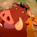 꽃보다개냥 이미지