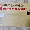 이대식품 | 명절 선물로 구입한 이대명과 전병 후기