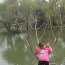 양주10 - 거위안에서 양저우의 상징, 수서호 공원에 가다. 이미지