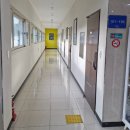 애니멀하우스 | [제주 아기랑 숙소] 흰수염고래리조트 : 키즈룸(애니멀하우스 이층침대), 수영장, 놀이공간, 베이커리