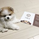 개편한집 이미지