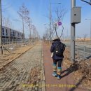 내기초 신영분교장 이미지