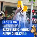 올랑가별미길 | [순천상권알림] 얼음~땡! 올랑가 별미길 순천 원도심상권 생생한 축제 현장 후기!(아이스버킷 챌린지...