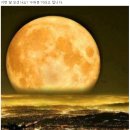 서울부동산행정사 사무소 이미지