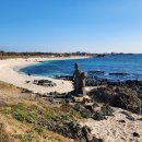 하우목동항 이미지