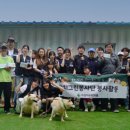 그린약품 이미지