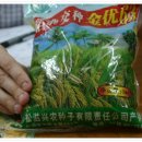 경기유전자 이미지