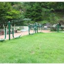 현대프레미오 이미지