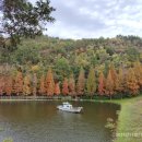 용소웰빙공원 이미지