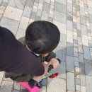 세종호수공원 제1주차장 이미지