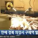 의성4농장 이미지