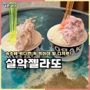 설악 | 속초동명동맛집 설악젤라또 내돈내산 후기