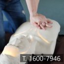 송풍초,용담중 이미지